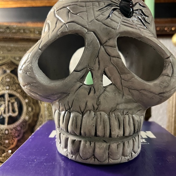 Halloween Skull Spider Web And Spider Luminary Vtg - Picture 3 of 14